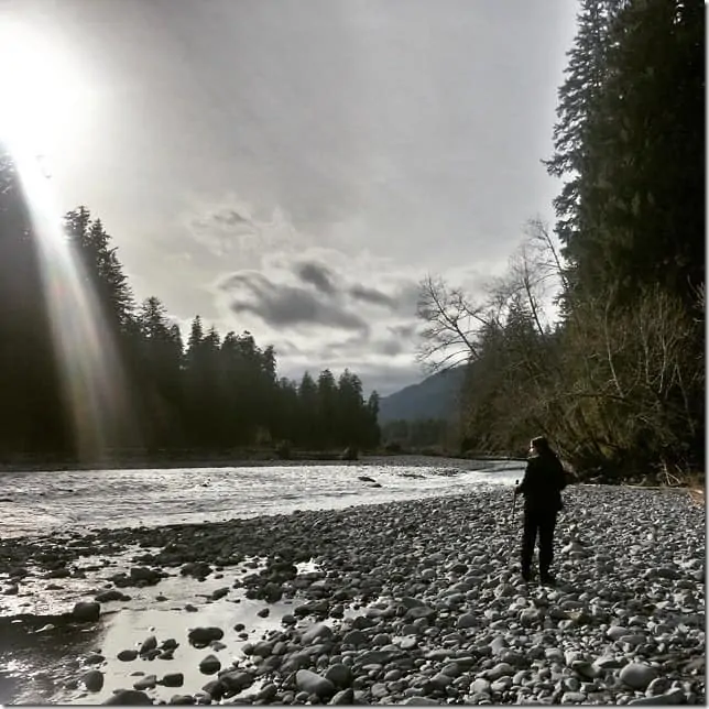 Visit the Hoh River in Olympic National Park - 49 Places to Visit on the Ultimate West Coast Road Trip