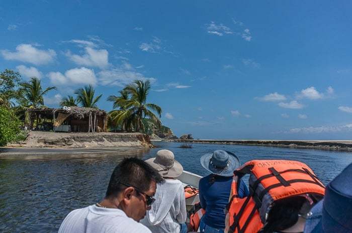 Visiting La Ventanilla, Mexico: Ecotourism Among Mangroves & Wildlife