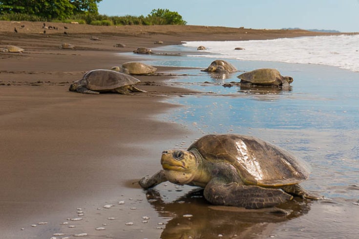 22 of the Most Amazing Places to Visit in Costa Rica on Your Next Trip