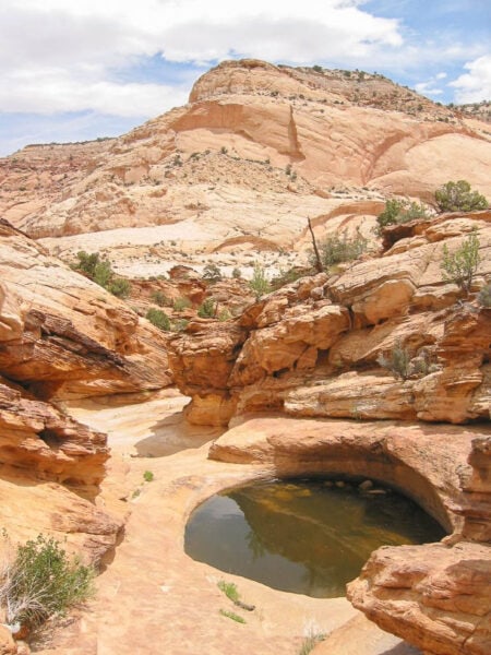 A Guide to the Best Capitol Reef National Parks for First-Time Visitors