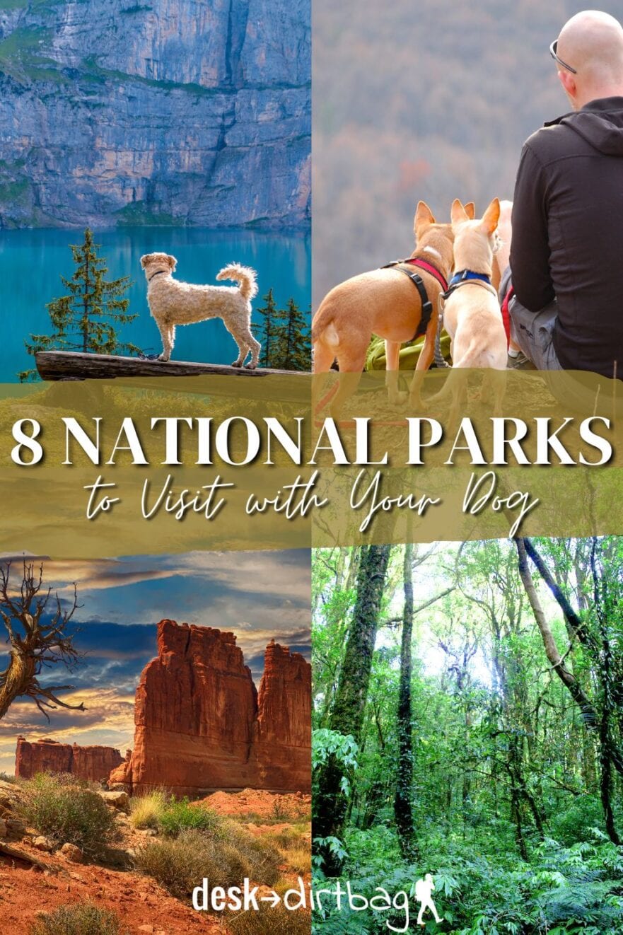 national park road trip with dog