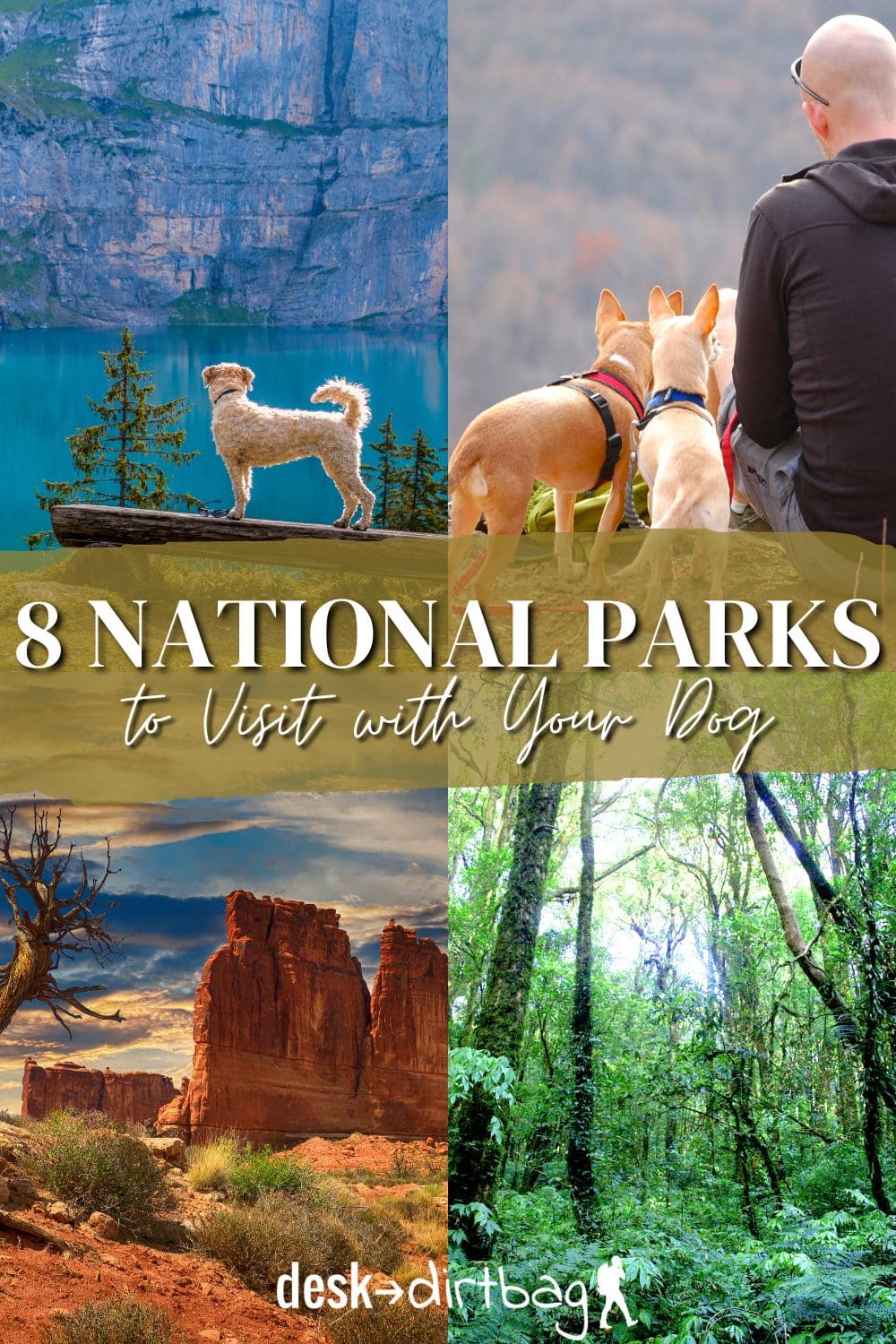 can you drive through a national park with a dog